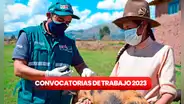 ¿Buscas trabajo como titulado técnico? Senasa brinda empleos con sueldos desde 2.064 soles