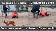 Mujer enternece las redes al hallar a su perro luego de 5 años: "Se me hizo un nudo en la garganta"