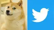 ¿Quién es el perrito 'Doge', la mascota que ahora es el logo de Twitter?