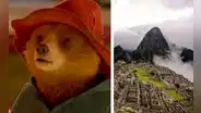 "Paddington en Perú": ¿cómo nació la historia del osito y cuándo filmarán su tercera película?
