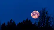 Luna rosa 2023: a qué hora se ve la luna llena de abril y por qué se llama así