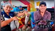 Semana Santa 2023: conoce el precio de los pescados en los principales terminales de Lima