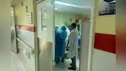 Menor de 3 años murió por el ataque de 4 perros en Junín