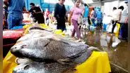 "En 20 años vamos a estar comiendo malaguas y estrellas de mar si no hacemos nada”, advierte biólogo