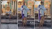 ¿Pidió por los perritos del mundo? Can entra a iglesia durante misa y se mete debajo de túnica de párroco para 'orar'