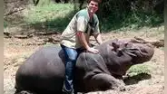 El trágico final del hombre que crio a un hipopótamo desde bebé: fue hallado con mordeduras