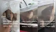Compra pescados por Semana Santa, pero al llegar a casa descubre que están vivos: “Si estaban frescos”