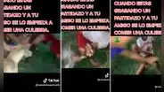 Serpiente ataca a joven en plena pichanga: "Para que sientas la presión"