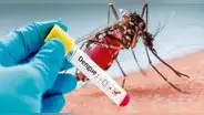 Argentina: más de 28,000 casos de dengue y chikungunya hasta la fecha