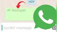 WhatsApp: ¿cómo mandar un mensaje sin que aparezca la etiqueta de reenviado?