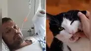 El dramático caso de Henrik: ¿cómo una mordedura de su gato le quitó la vida tras 4 años?