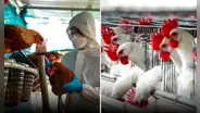 Reportan primera muerte de paciente infectada con la variante H3N8 de gripe aviar en China