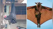 ¿Cuánto mide el zorro volador filipino, considerado el murciélago más grande del mundo?