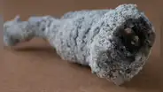 Impacto de rayo en un árbol crea un mineral 'alienígena' en la Tierra