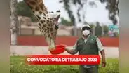 ¿Con secundaria completa? Parque de las Leyendas ofreció 147 vacantes con sueldos desde S/1.500