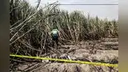 Secuestran y asesinan a adolescente de 16 años en La Libertad