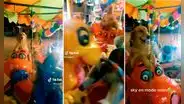 Perro se sube a juego mecánico y causa furor: "Se divierte como un niño"