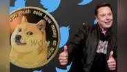 Dogecoin: Musk, acciones y el perrito de Twitter para una manipulación artificial del mercado