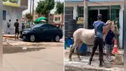 ¡Solo en Perú! Captan a lavacarros bañando un caballo en plena calle