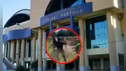 "Estos son mis 15 metros": personal municipal y vecinos en Ucayali pelean a puño limpio por tierras