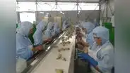 Agroexportaciones siguen creciendo en Chavimochic