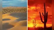 ¿Cómo es vivir en el desierto de Sonora, el lugar más caliente del mundo?