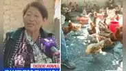 Damnificada remata sus 700 gallinas tras perderlo todo por deslizamientos en Huaral