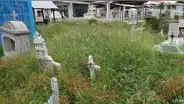 Cementerio de Tumbes se ha convertido en selva agreste con maleza producto de las lluvias