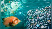 “Más plásticos que peces”: ONU advierte que desechos en los océanos se triplicarían para el 2050