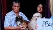 SMP: denuncian a vecino que mató a perrito y habría agredido a otros canes