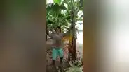 "Ten piedad, Señor": agricultor ahogado en llanto pide a Dios cese de lluvias en Piura