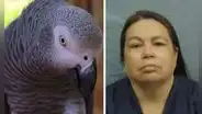 Glenna Duran, la mujer que recibió cadena perpetua luego de que un loro la delatase por homicidio