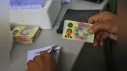 Licencia de conducir: ¿cómo solicitar un duplicado de brevete de forma online y cuál es su costo?