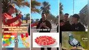Extranjero afirma que la comida española es mejor que la peruana y redes estallan: "La comparación ofende"