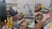 Mujer quiso preparar cangrejos, pero no se dio cuenta de que estaban vivos: “Se la comieron a ella”