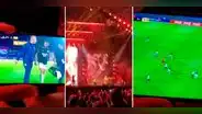 Hincha celebra los goles de Alianza Lima en pleno concierto de Alejandro Sanz