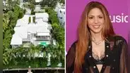 Shakira: ¿por qué la cantante decidió llevar un árbol de su casa en Barcelona hasta Miami?