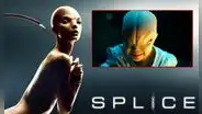 “Splice” aterró a miles en 2009 y casi tuvo secuela: ¿por qué no se hizo y de qué pudo tratar?