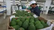 Exportaciones de La Libertad crecieron 15% el primer bimestre