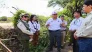 Aumento del caudal del río La Leche afectó 4 zonas en el Bosque de Pómac