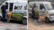 Perrito carga su lonchera al llegar de la guardería a su casa y enternece a usuarios: “Me enamoré”