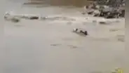 Naufragio de embarcación deja al menos 3 desaparecidos en el río Huallaga
