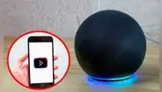 ¿Cómo convertir tu Alexa en un parlante bluetooth para escuchar la música de tu teléfono?