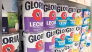 Tarro morado de Gloria aún no llega al Vaso de Leche