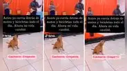 Perro sorprende al 'cantar' en plena alabanza de una iglesia: "El hermano firulais"