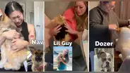 ¡Conmovedor! Personas rompen en llanto al ver a sus mascotas en réplicas de peluche