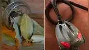 ¿Por qué siempre debes colocar una hoja de laurel en la aspiradora?