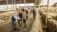 Con S/ 11 millones mejorarán vía de ingreso a ruinas de Chan Chan en Trujillo
