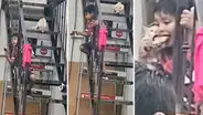 Gato travieso roba presa de pollo a niño que se descuidó por un momento: "Camarón que se duerme..."