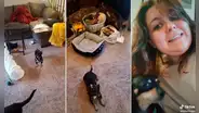 “El perro no es 'bilingüe'”: Dueña aprende español para comunicarse con su perro que no entiende inglés